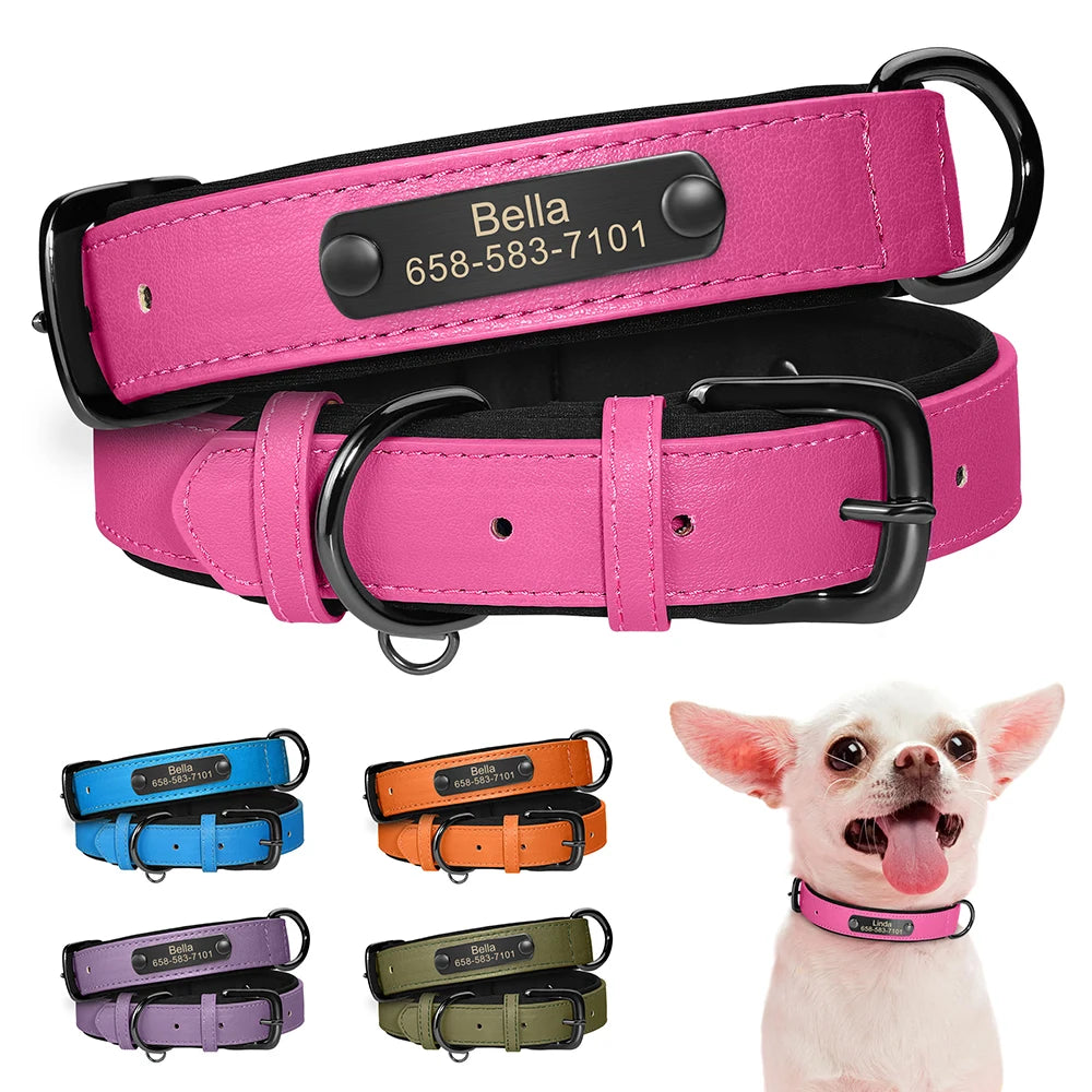 İsimli Deri Köpek Tasması 80341