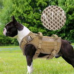 Köpek Göğüs Tasması 54984