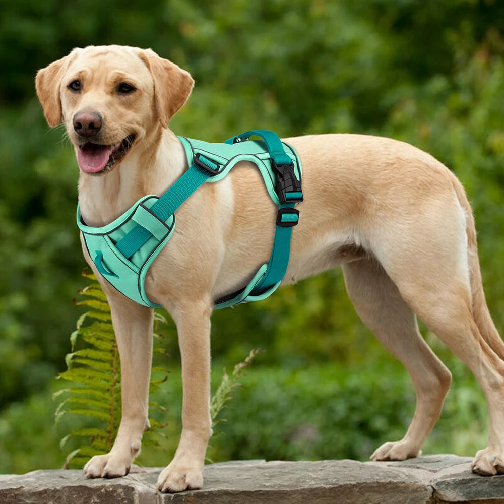 Köpek Göğüs Tasması Reflective Nefes Alabilir 73232