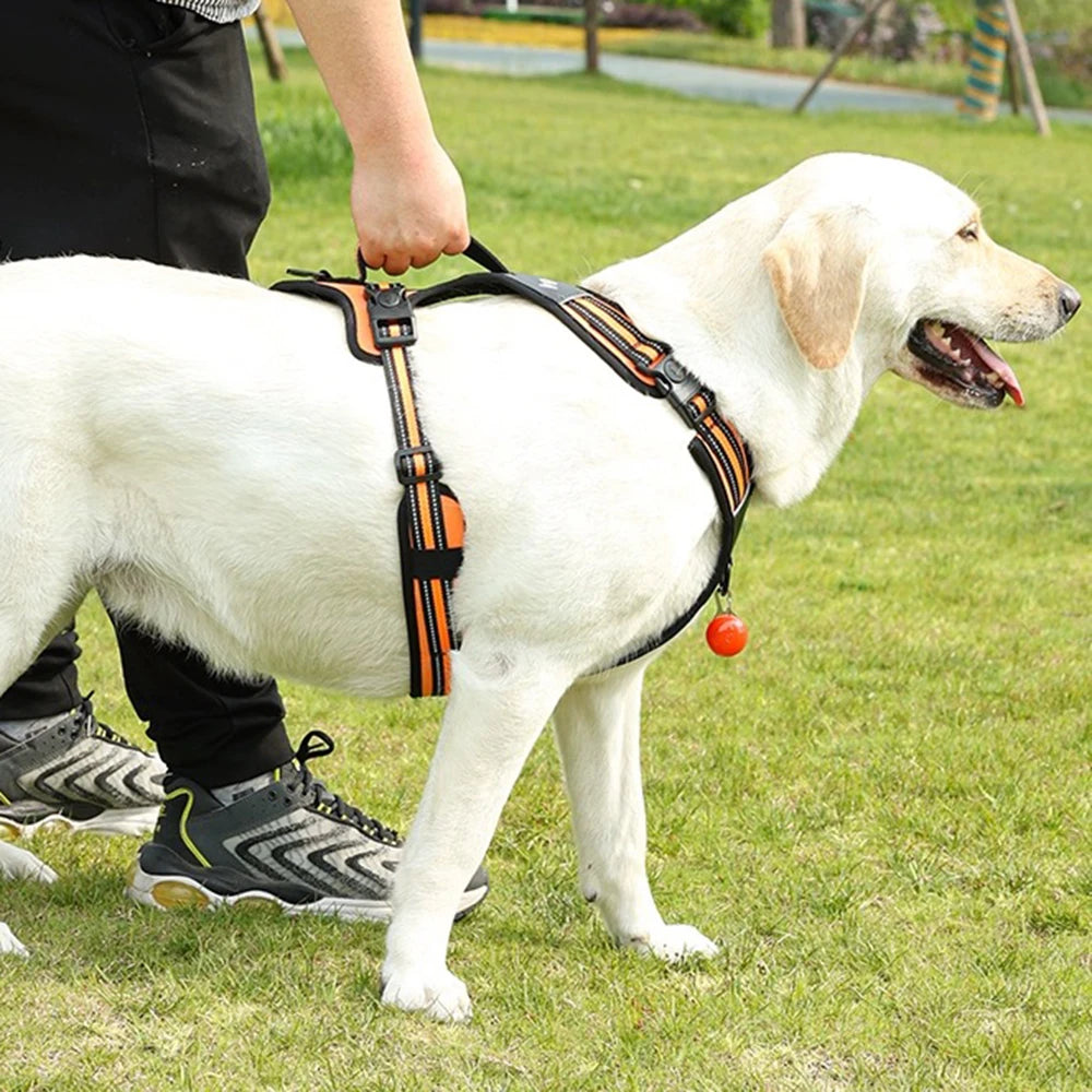 Köpek Göğüs Tasması 07068