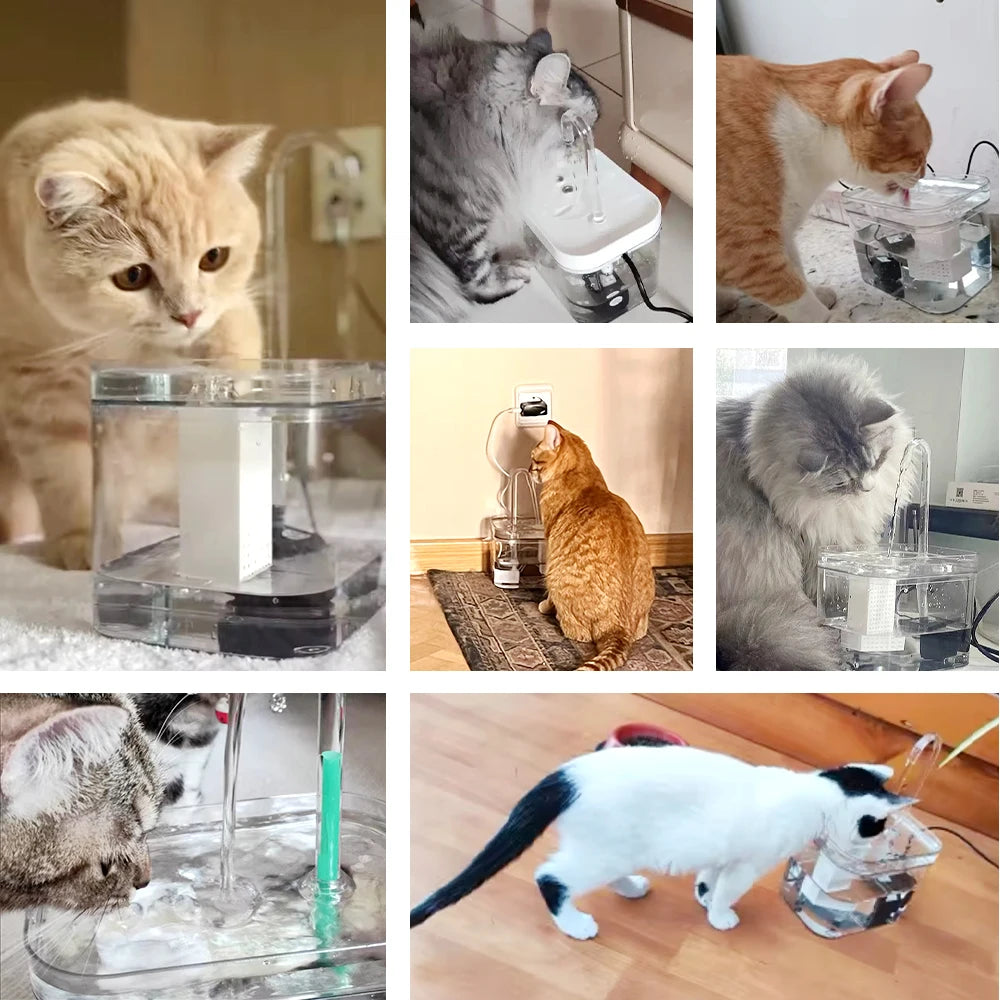 Kedi Su kabı Sessiz 33516