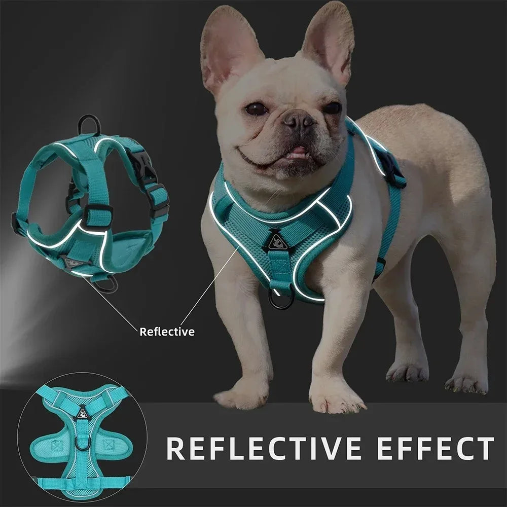 Köpek Göğüs Tasması SET 96851