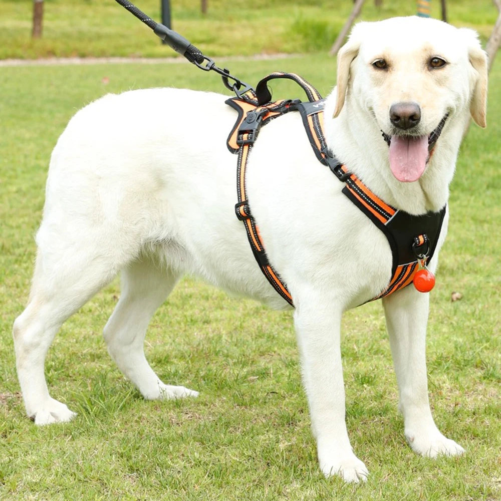 Köpek Göğüs Tasması 07068