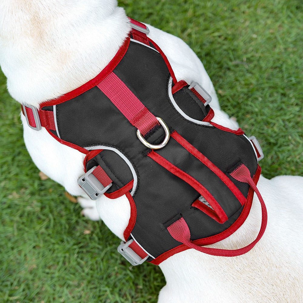 Köpek Göğüs Yansıtıcı Belden Tasma