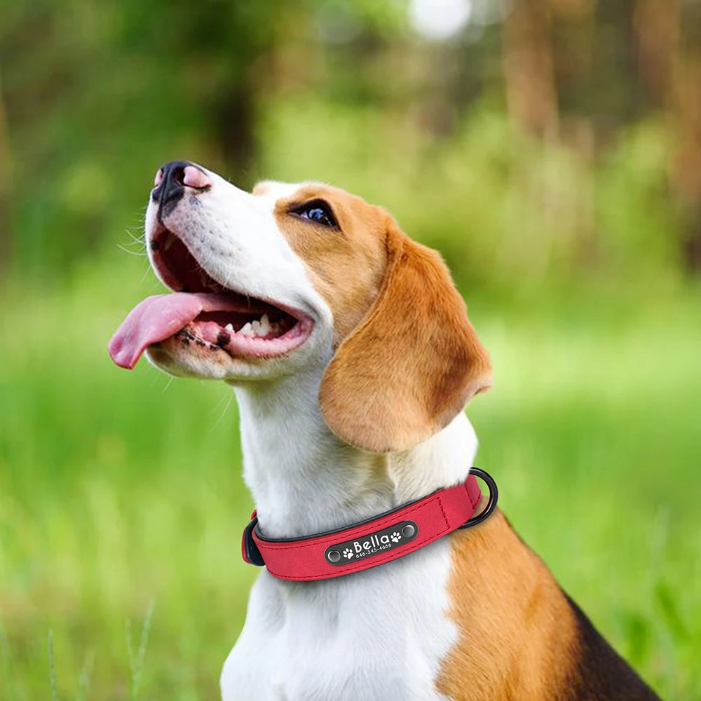 Köpek Tasması isimli Deri Tasma 43874