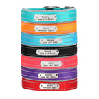 Köpek Tasması İsimli Reflective 89318