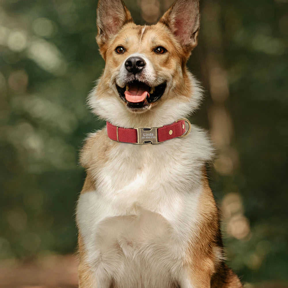 Köpek Tasması İsimli Kanvas 80651