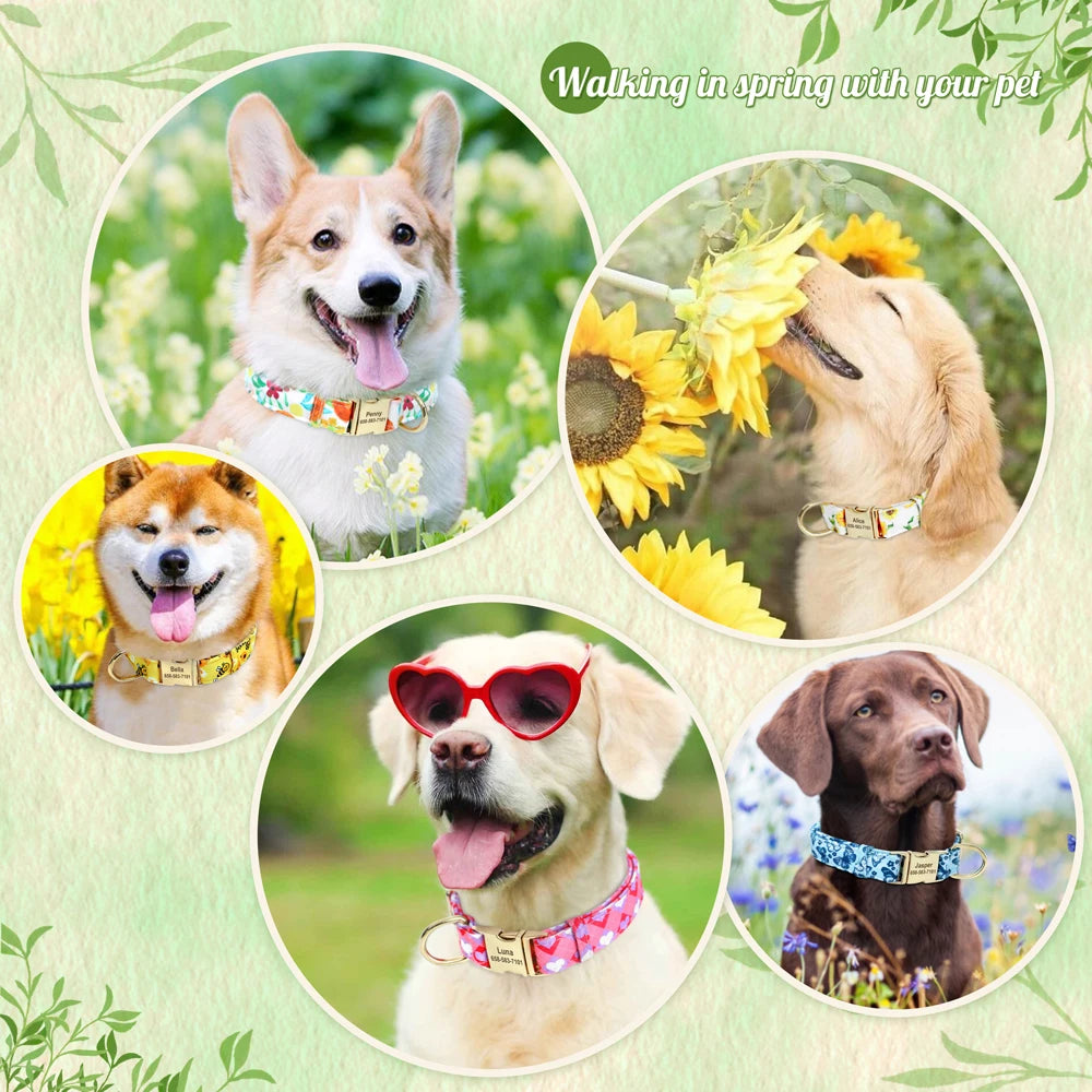 Dog Collar Printed Spring Themed Design 77930