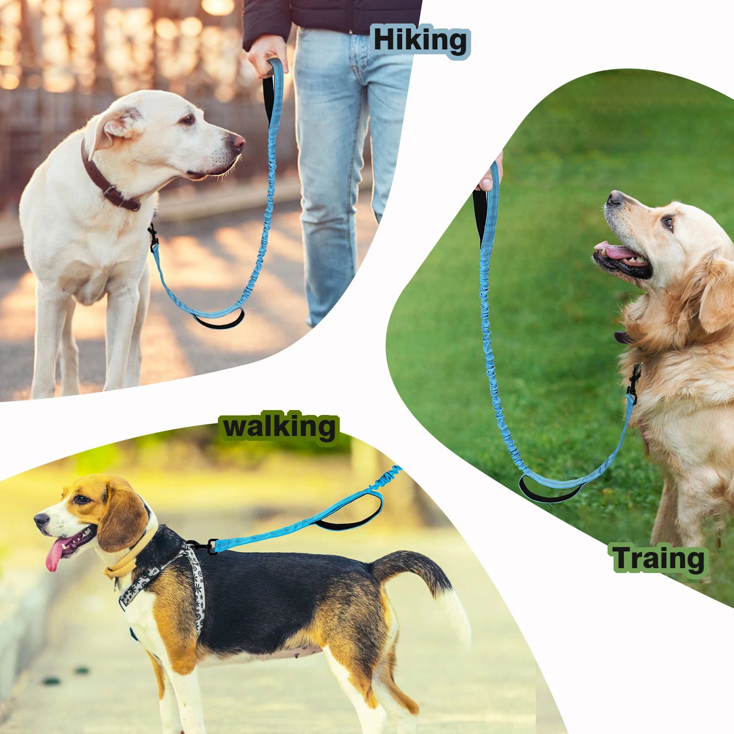 Köpek Gezdirme İpi Şok Emici 09749