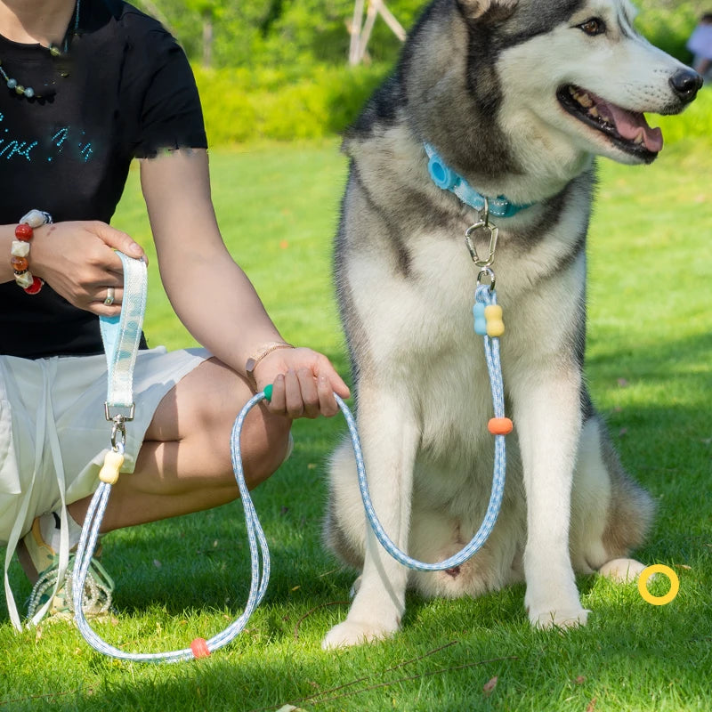 Reflektörlü Airtag Köpek Tasması Kayışı Seti 70866