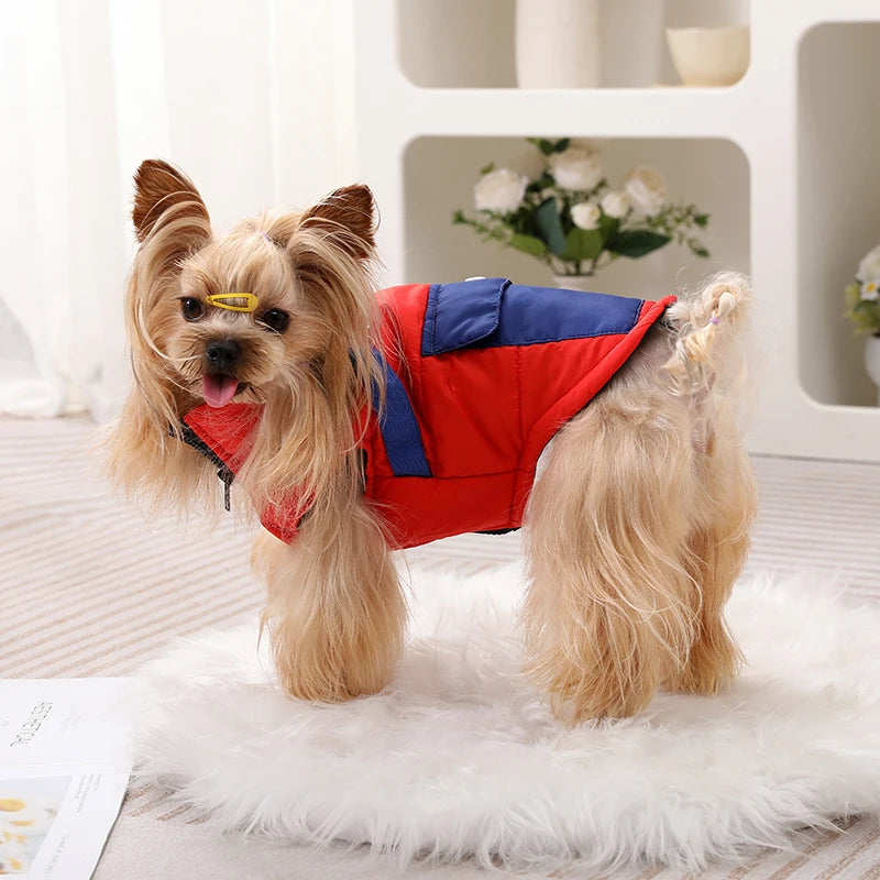 Köpek mont 09822