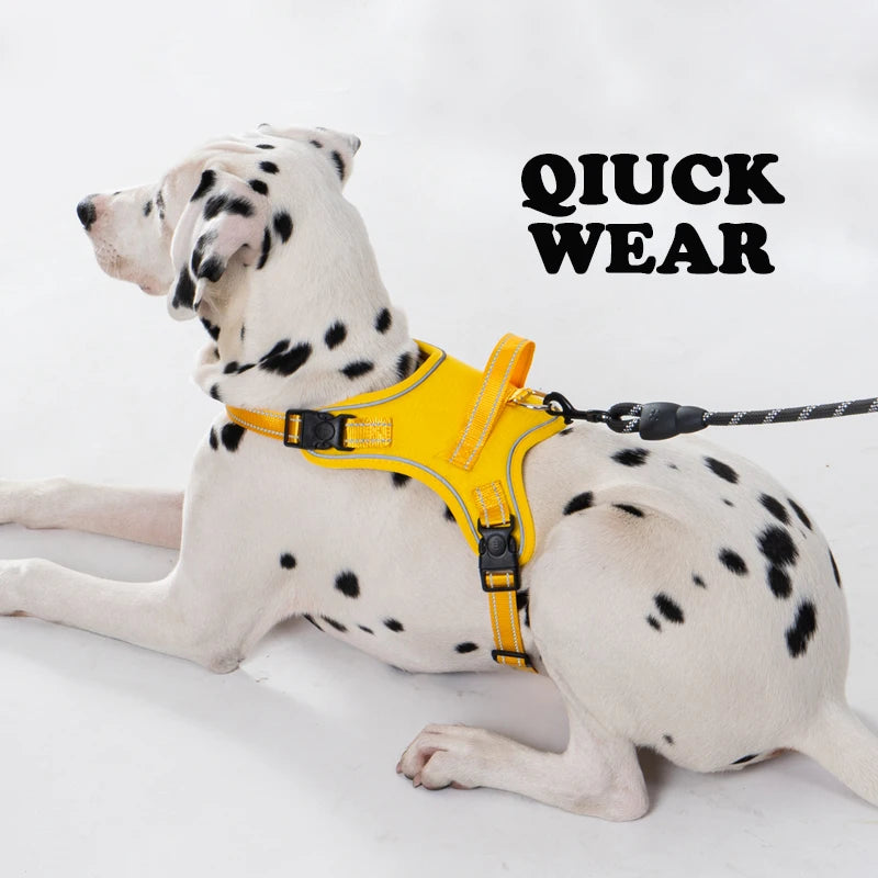 Köpek Göğüs Tasması 06725