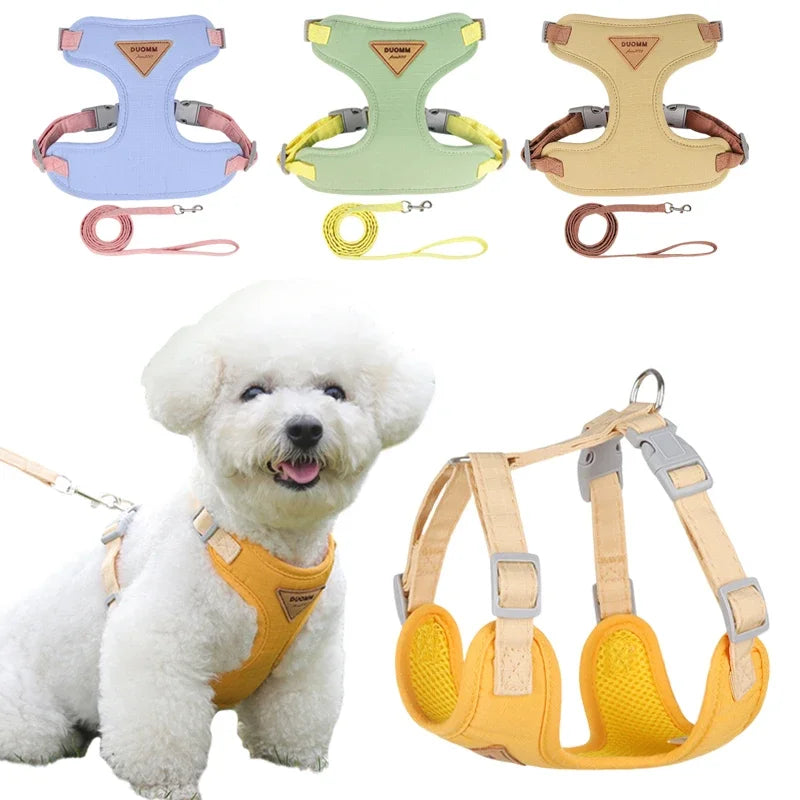 Köpek Göğüs Tasması Set 69794