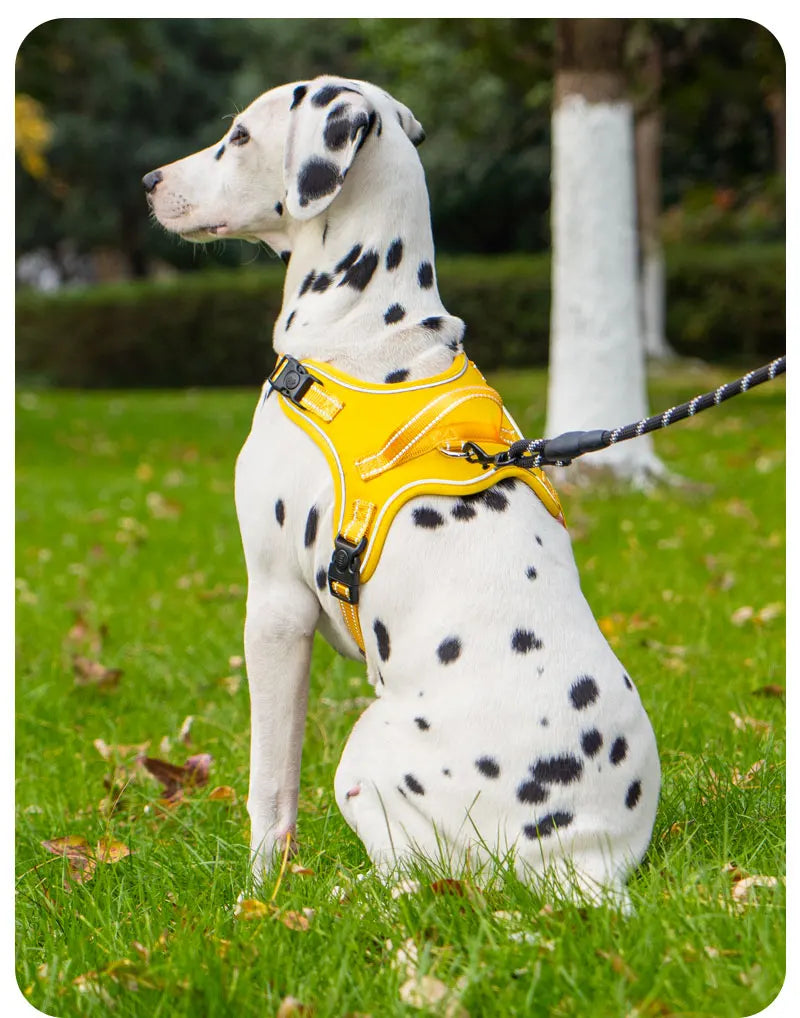 Köpek Göğüs Tasması 06725