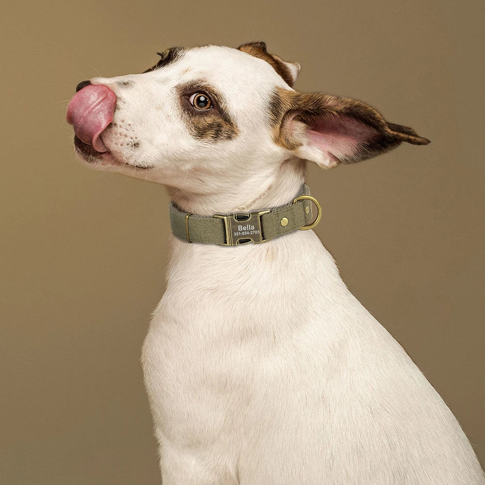 Köpek Tasması İsimli Kanvas 80651