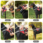 Köpek Göğüs Tasması 89678