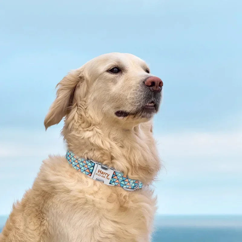 Köpek Tasması İsimli 45863