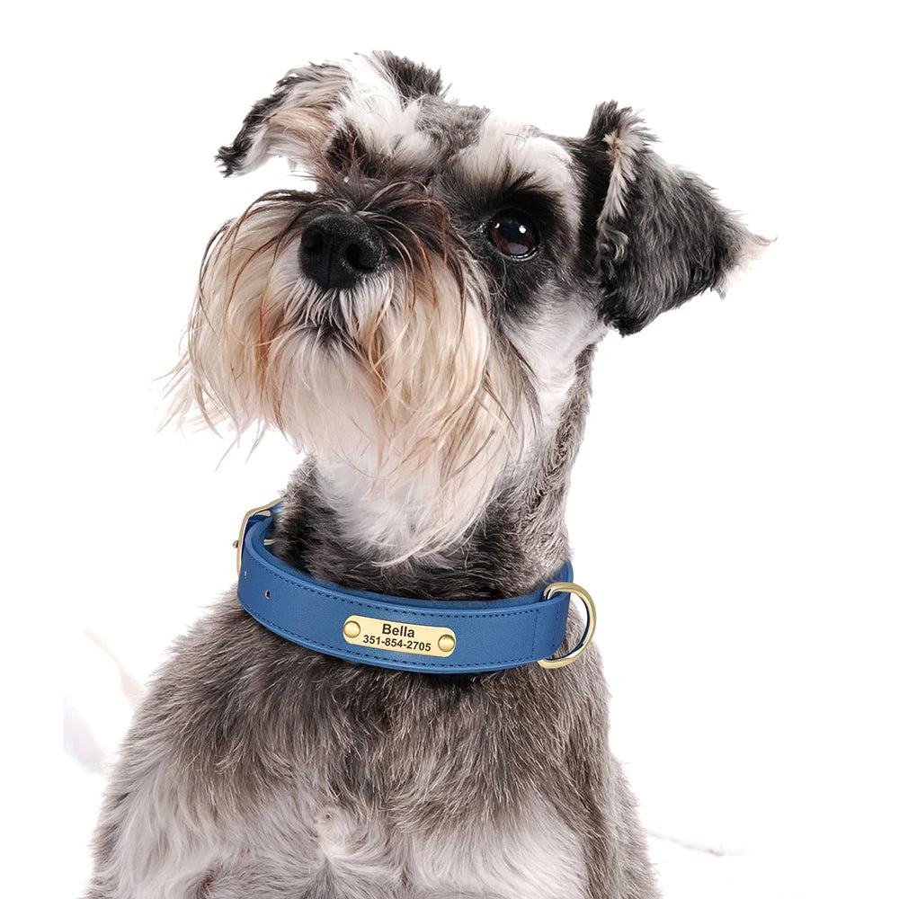 İsimli Köpek Tasması Yastıklı Deri Tasma 614392