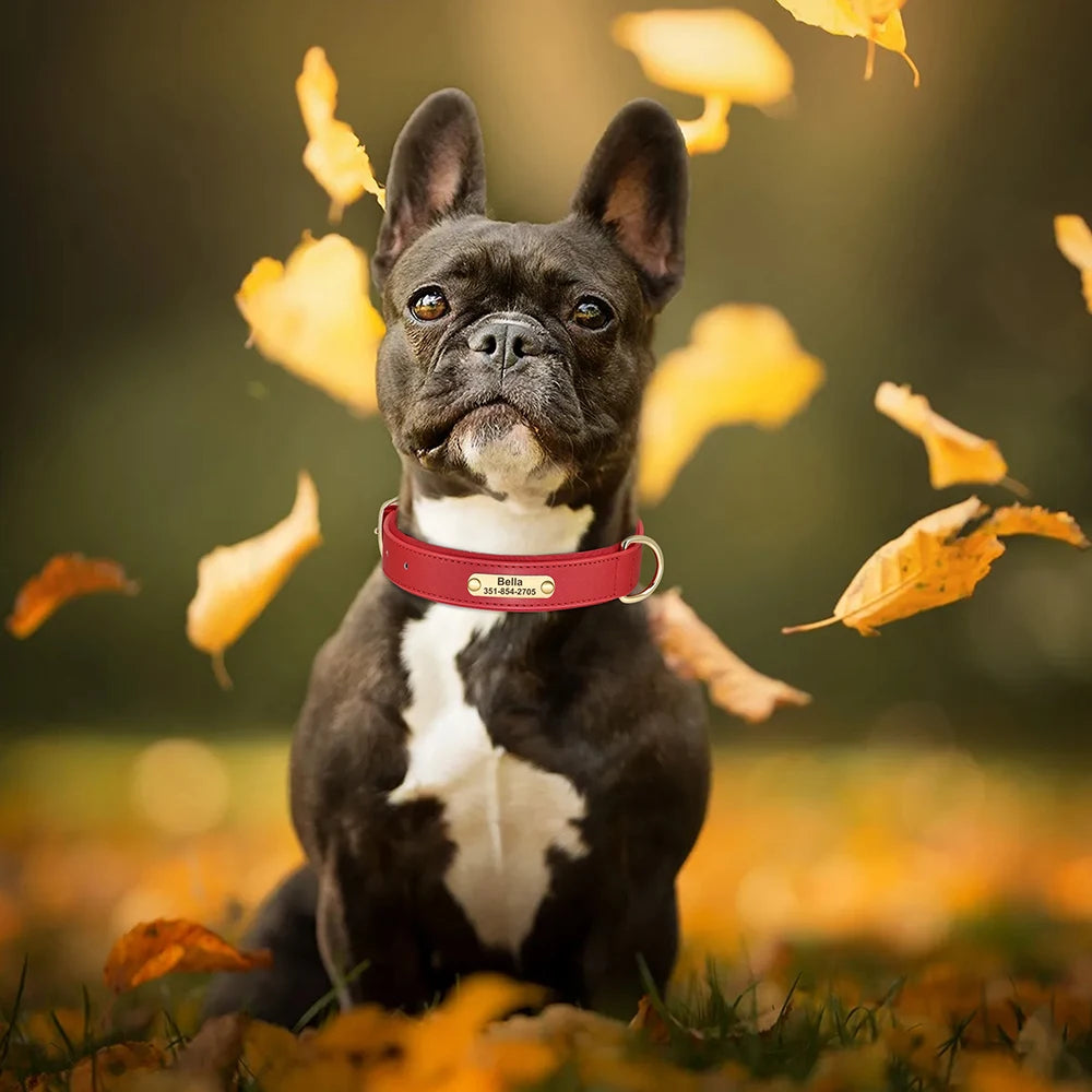 İsimli Köpek Tasması Yastıklı Deri Tasma 614392