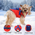 Köpek mont 09822