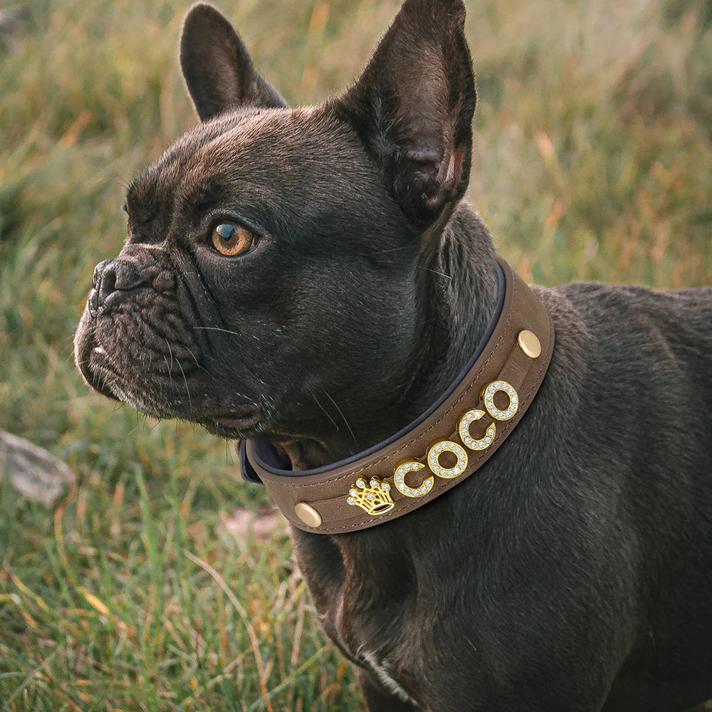 Köpek tasması Bling Charm İsimli Boyun Tasması 