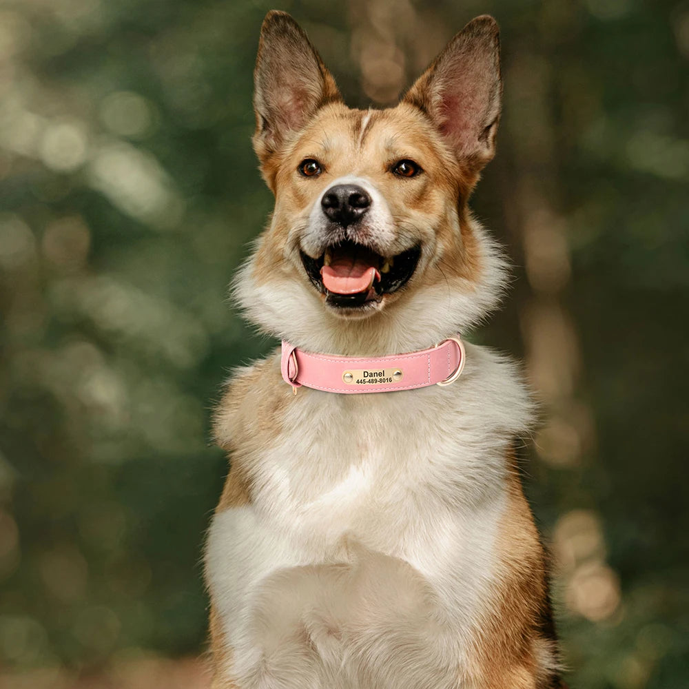 Deri Köpek Tasması İsimli Boyun Tasması 588804