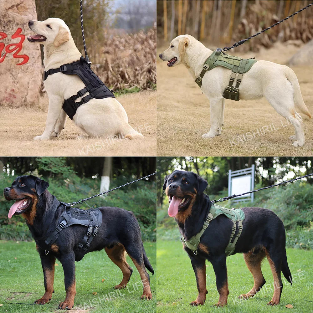 Taktik Göğüs tasması 63867