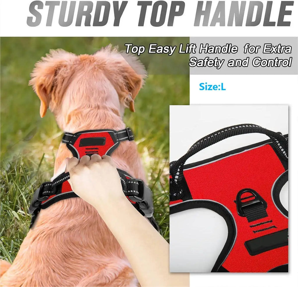 Köpek Göğüs Tasması 78958