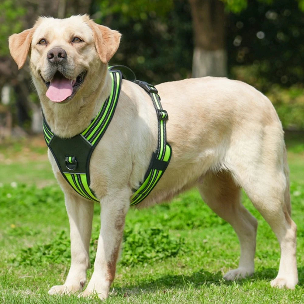 Köpek Göğüs Tasması 07068