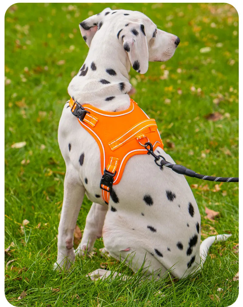 Köpek Göğüs Tasması 06725