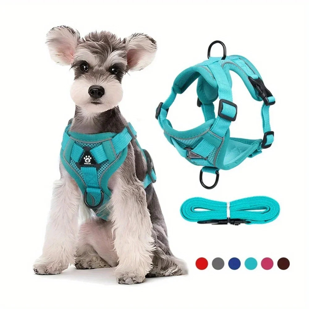 Köpek Göğüs Tasması SET 96851