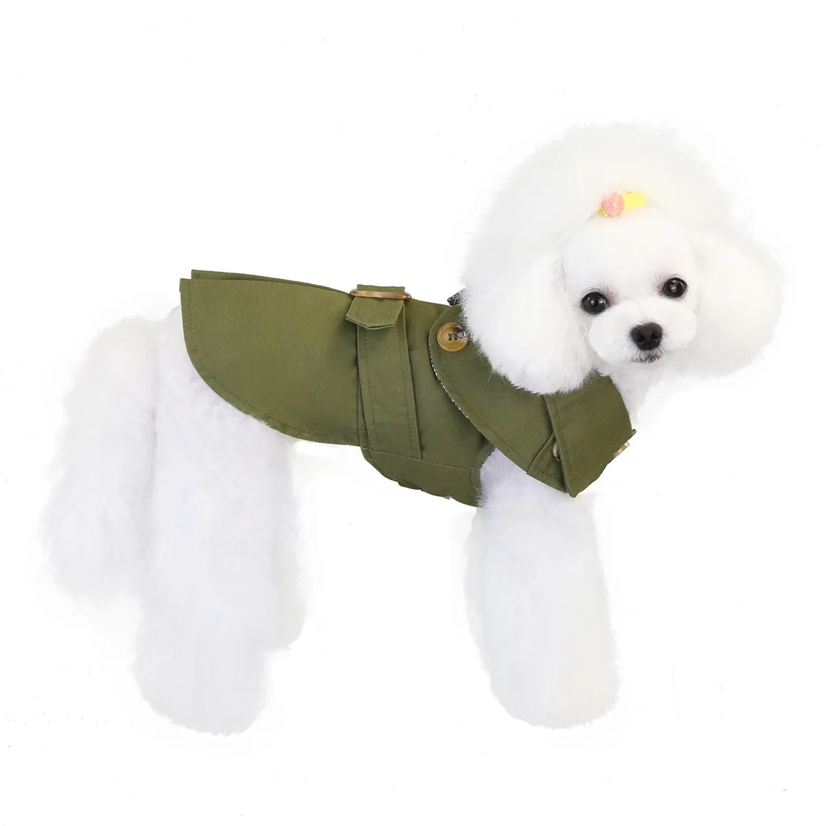 Köpek Mont Ceket 34479