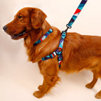 Köpek Tasma Seti 3 parça 71692
