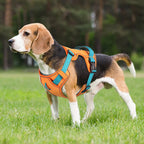 Köpek Göğüs Tasması Reflective Nefes Alabilir 