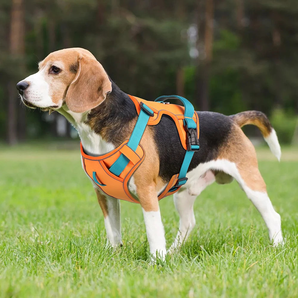 Köpek Göğüs Tasması Reflective Nefes Alabilir 