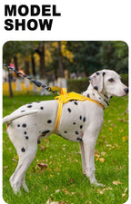 Köpek Göğüs Tasması 06725