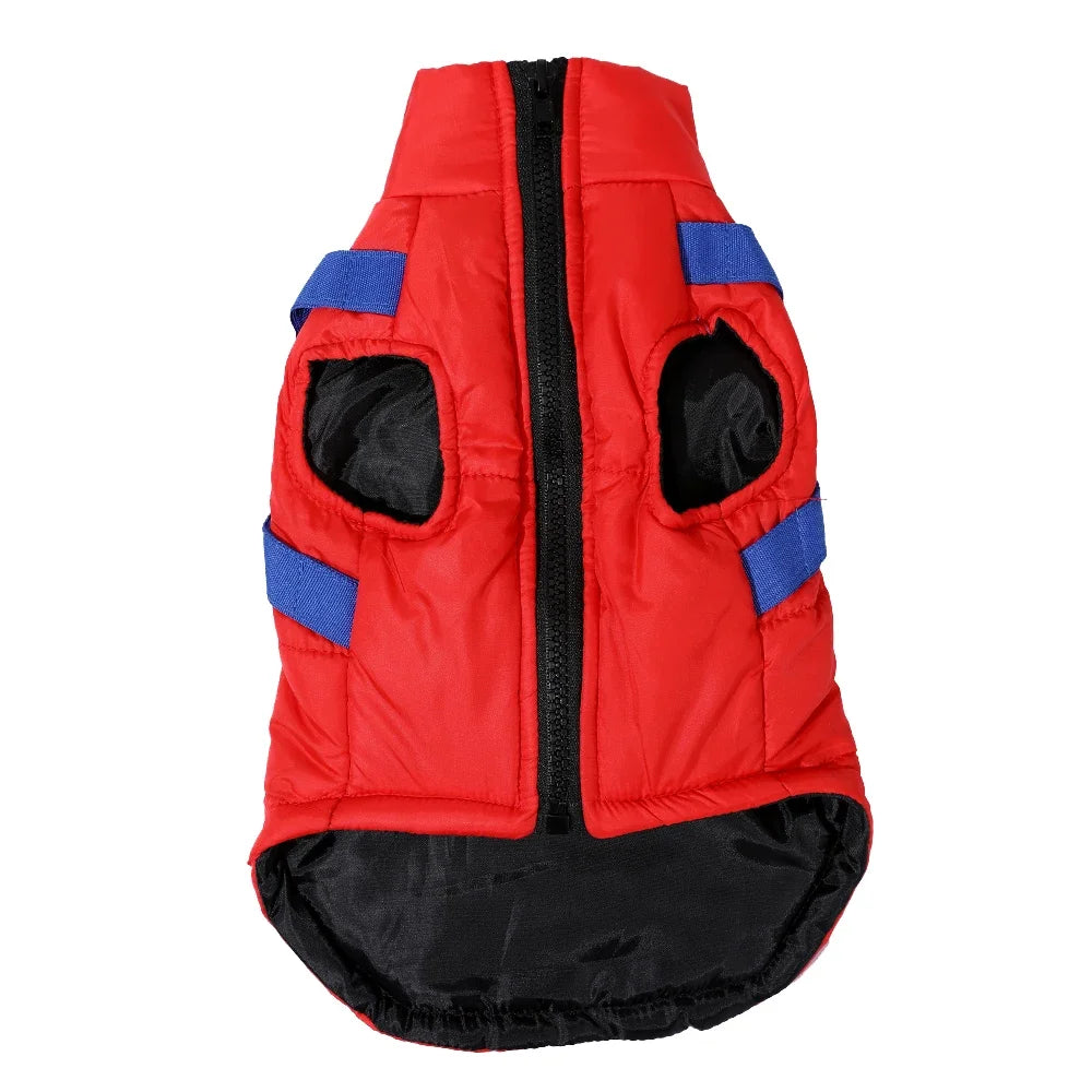 Köpek mont 09822