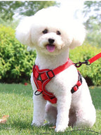 Köpek Göğüs Tasması SET 96851