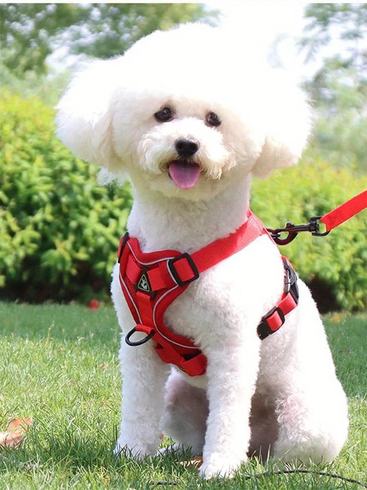 Köpek Göğüs Tasması SET 96851