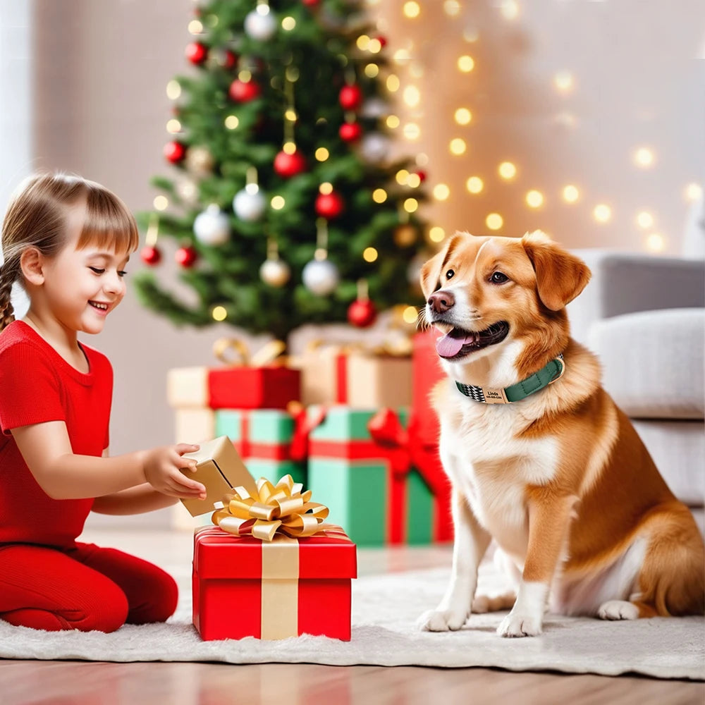İsimli Köpek Tasması İsimli Deri Boyun Tasması 