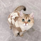 Kedi Hırkası Kışlık Sıcak Tutan Polar Ceket 44638