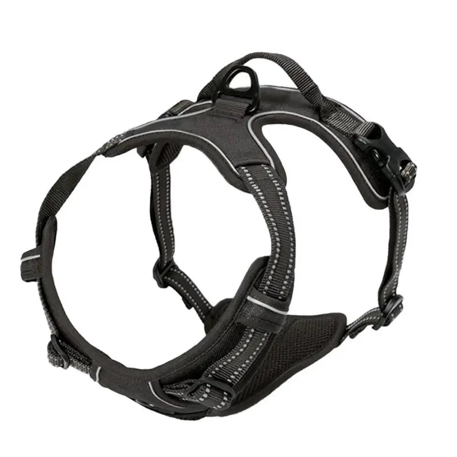Köpek Göğüs Tasması 78958