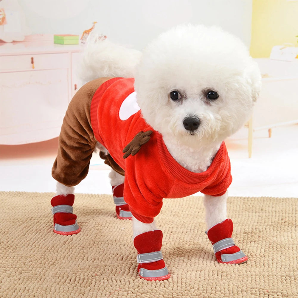 Köpek Ayakkabısı 37429