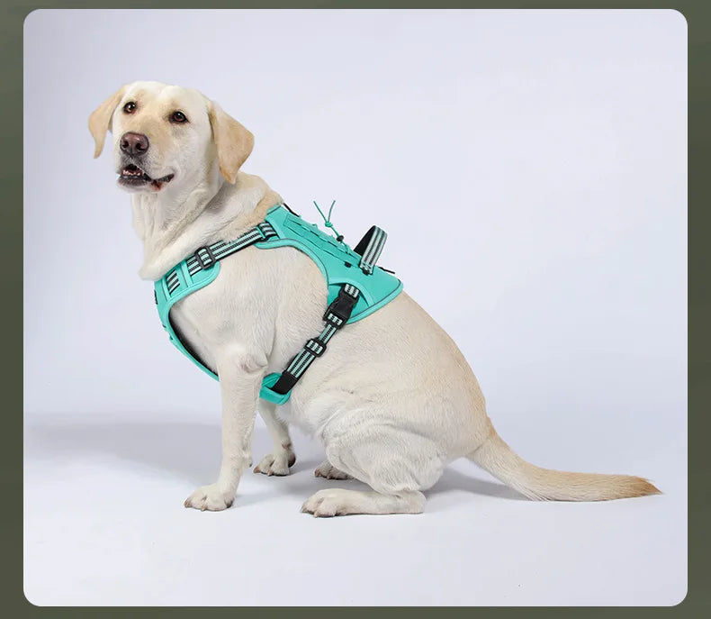 Tactical Göğüs Tasması Reflective 30456