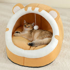 Kedi Evi 37142