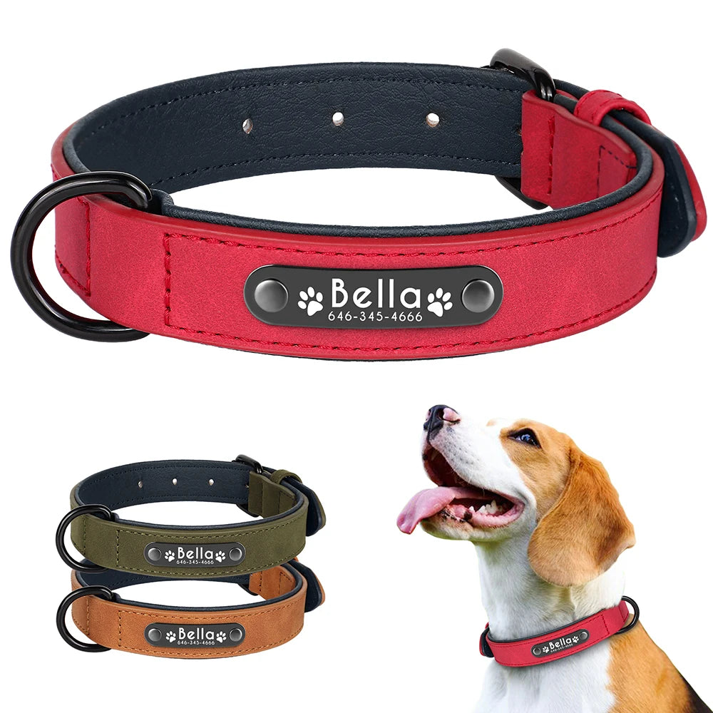 Köpek Tasması isimli Deri Tasma 43874