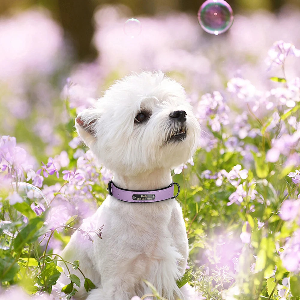 İsimli Deri Köpek Tasması 80341