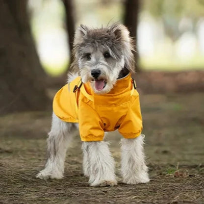 Köpek Yağmurluk