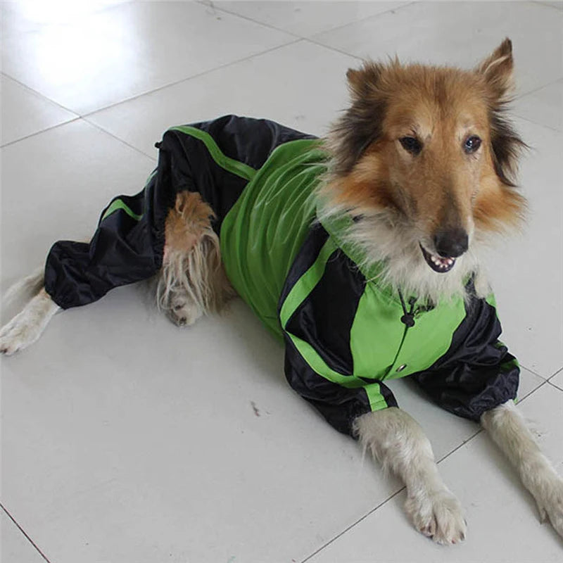 Köpek Yağmurluk Tulum 67518
