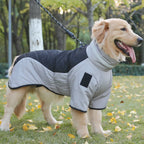 Köpek Yağmurluk 20016029